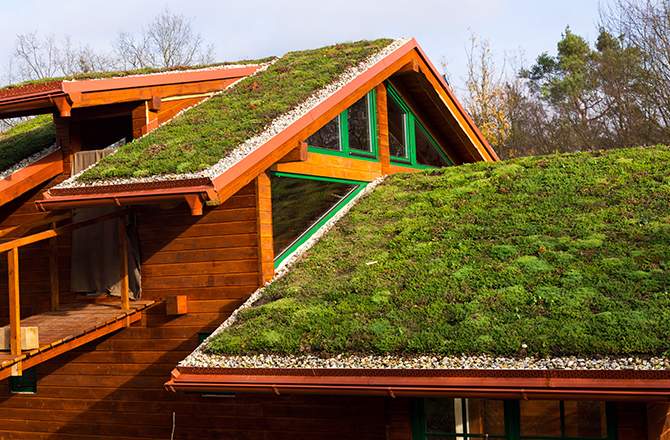 toiture végétalisée, pour les toitures peu inclinées