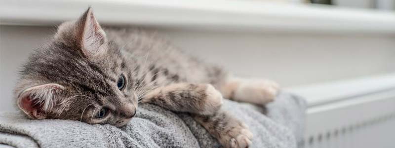 Tout savoir sur le chauffage et la ventilation