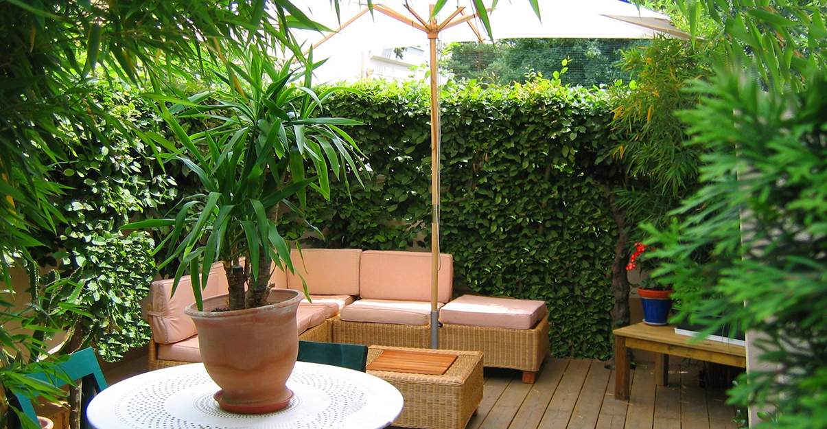 Vis-à-vis terrasse : la haie végétale