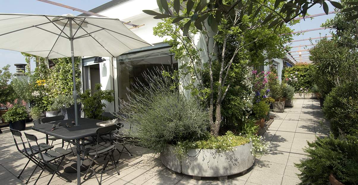 Vis-à-vis terrasse : les plantes en pot