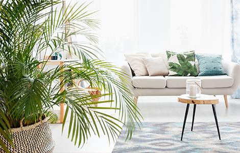 Style Ethnique - Sous l’influence de la jungle -Saint-Gobain.fr