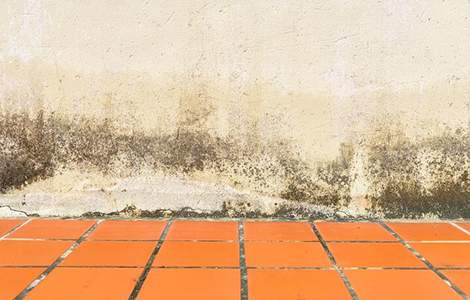 remontées capillaires