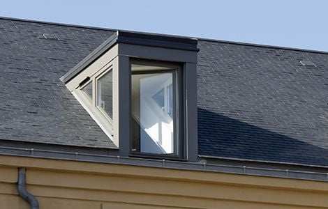 Chien assis d’une toiture