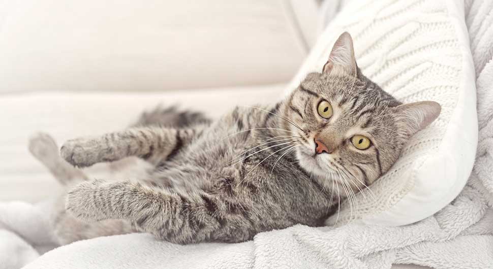 guide isolation thermique logement