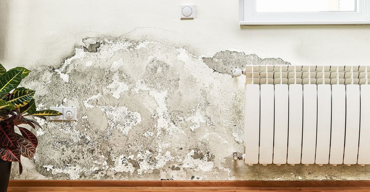 Rénovation d’un mur intérieur humide