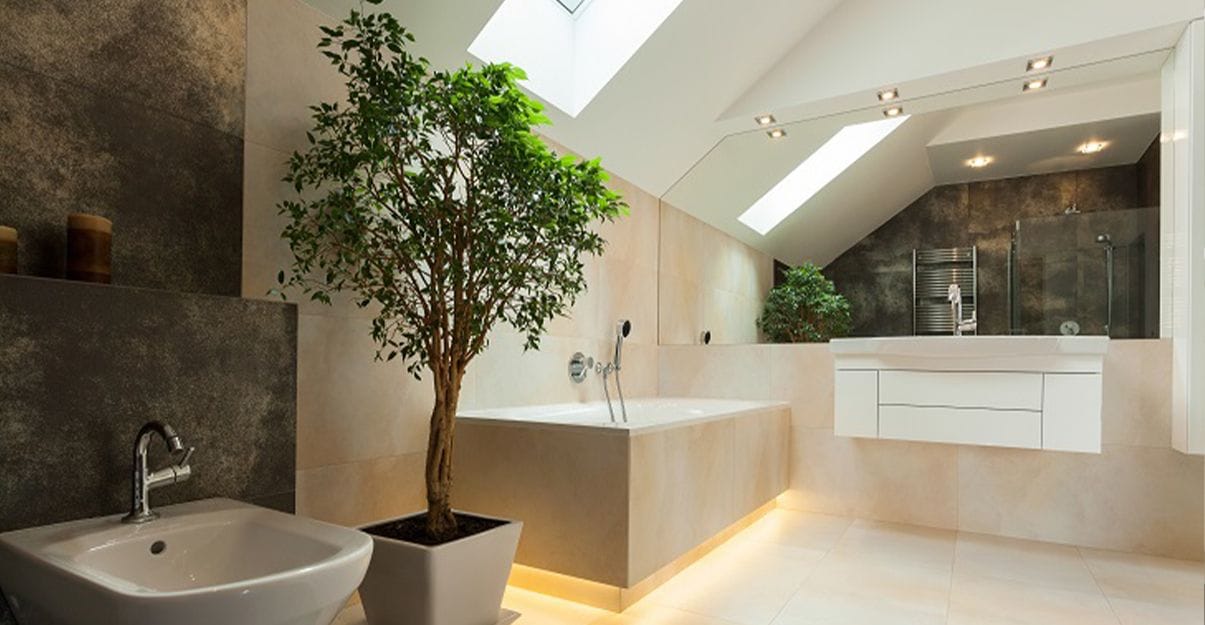 Salle de bain zen : les plantes