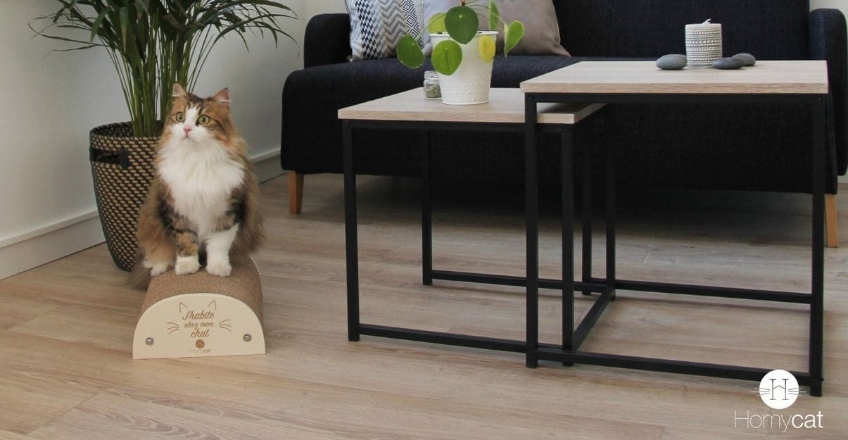 idée cadeau déco chat