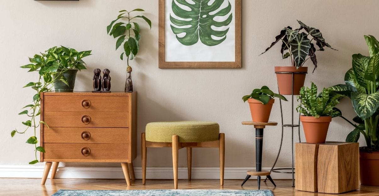 couleur et teinte bois