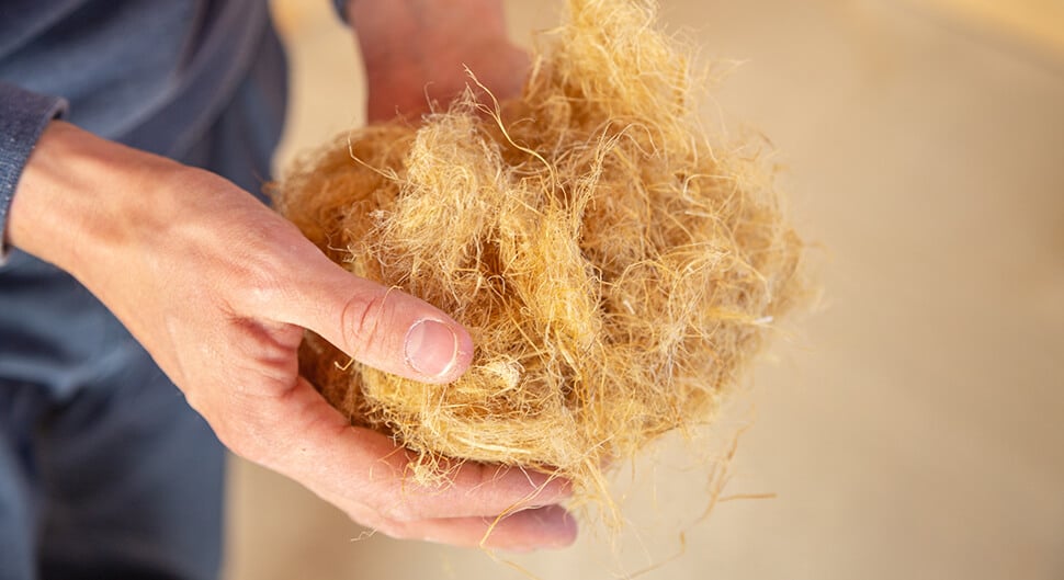 Les isolants biosourcés