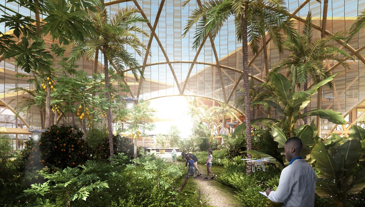 La ville flottante Océanix