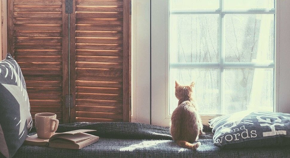 Installer un coin lecture dans votre maison