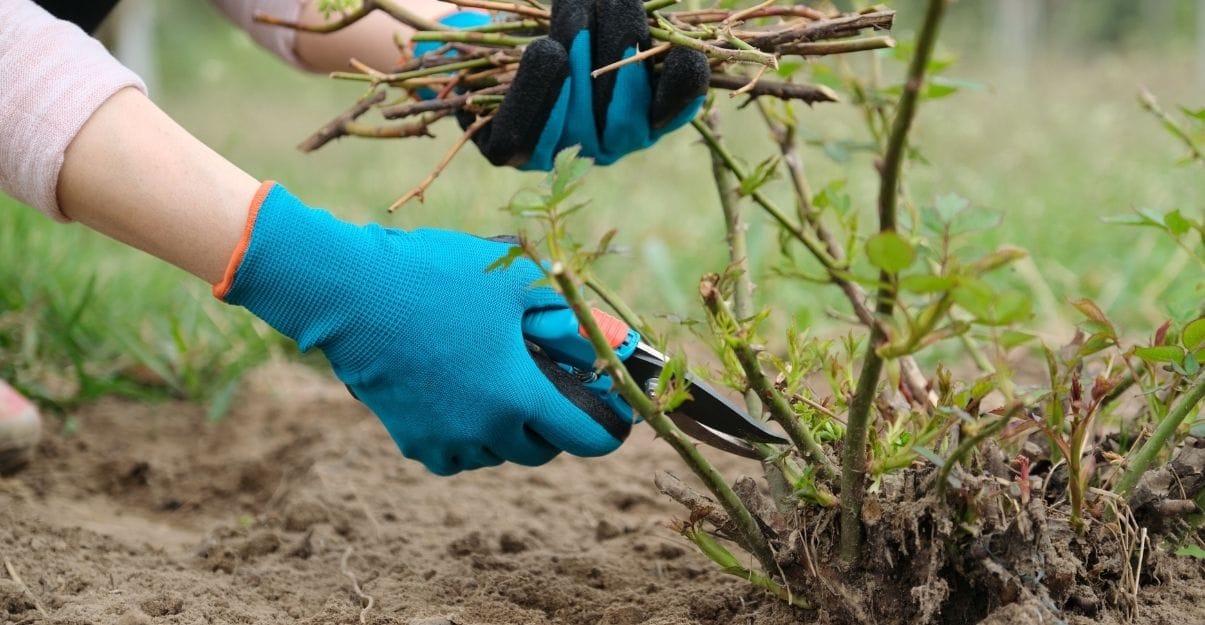 préparer son jardin