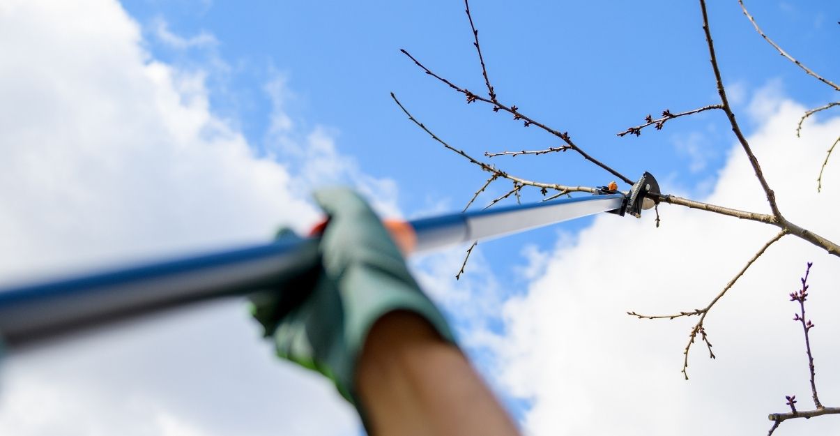 preparer jardin au printemps