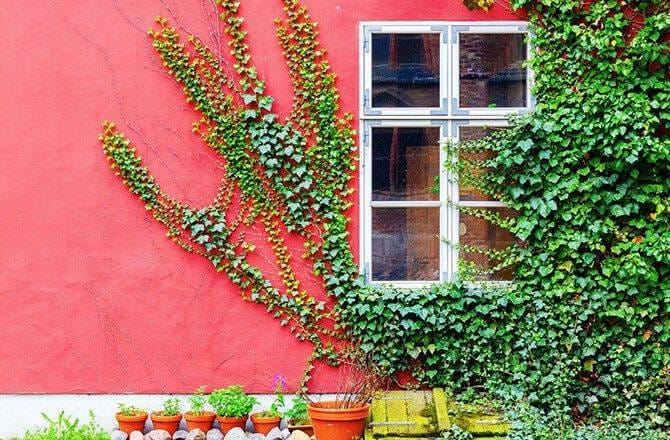 Couleurs façade : rose vif