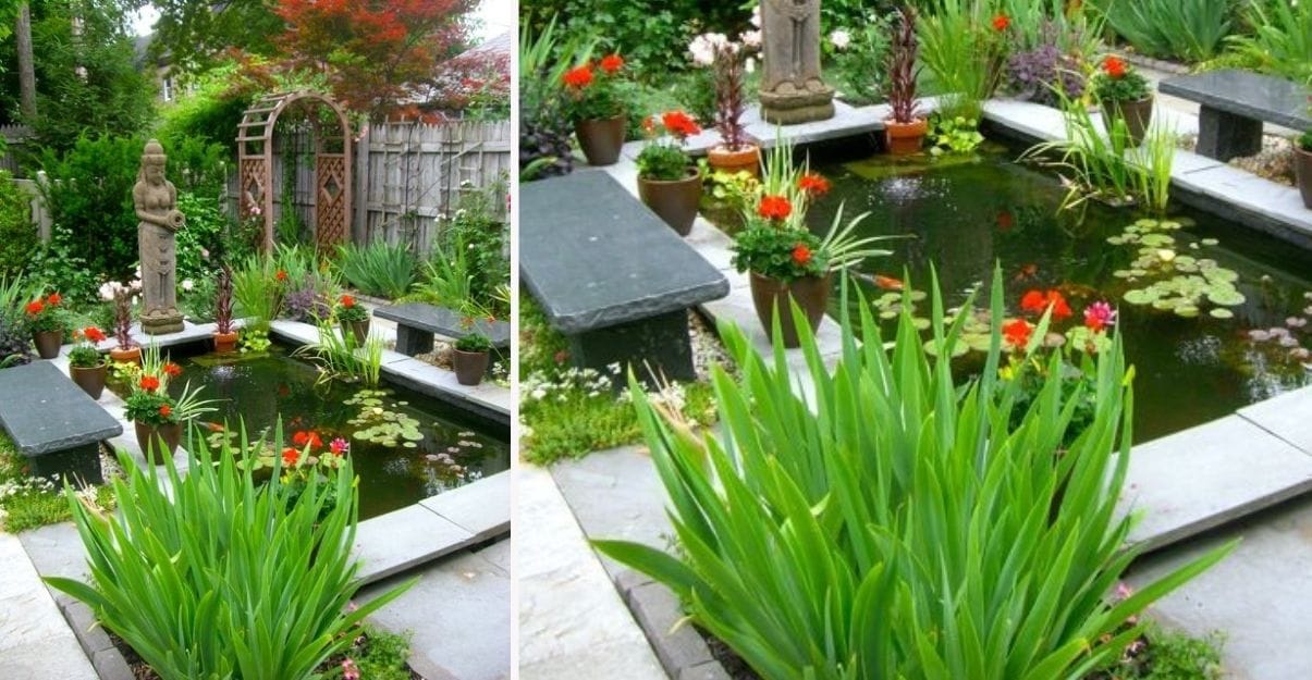 comment aménager un petit jardin de ville