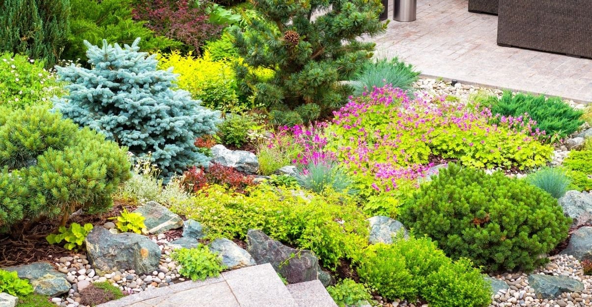 un jardin restanques sans pelouse