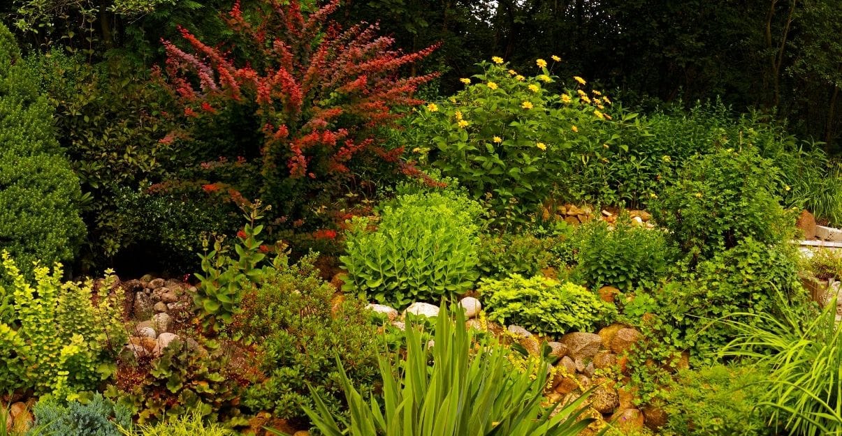 aménager petit jardin en pente
