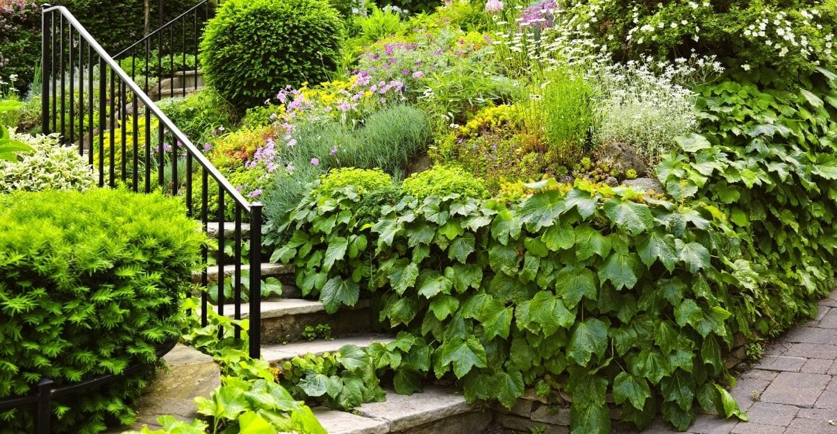 aménager petit jardin en pente