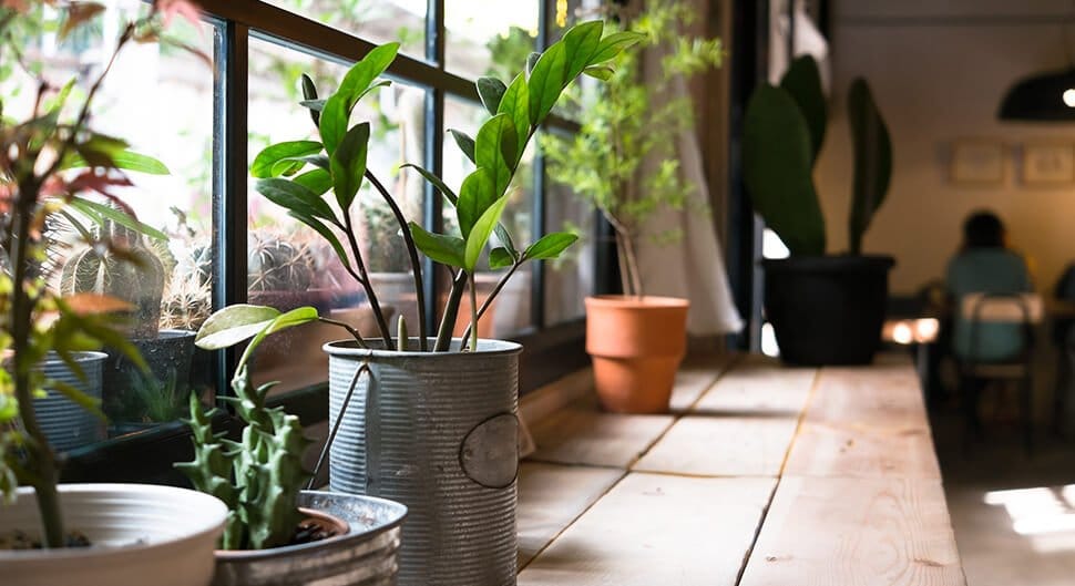 Construire un bureau de jardin