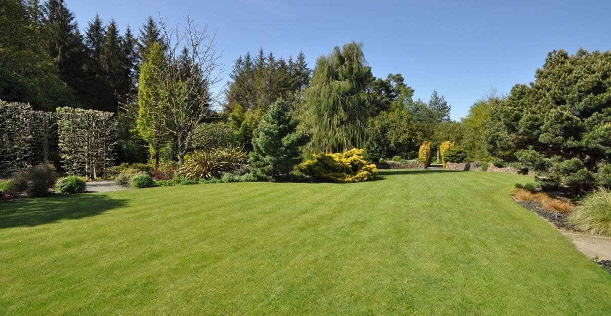 comment faire avec un grand jardin 