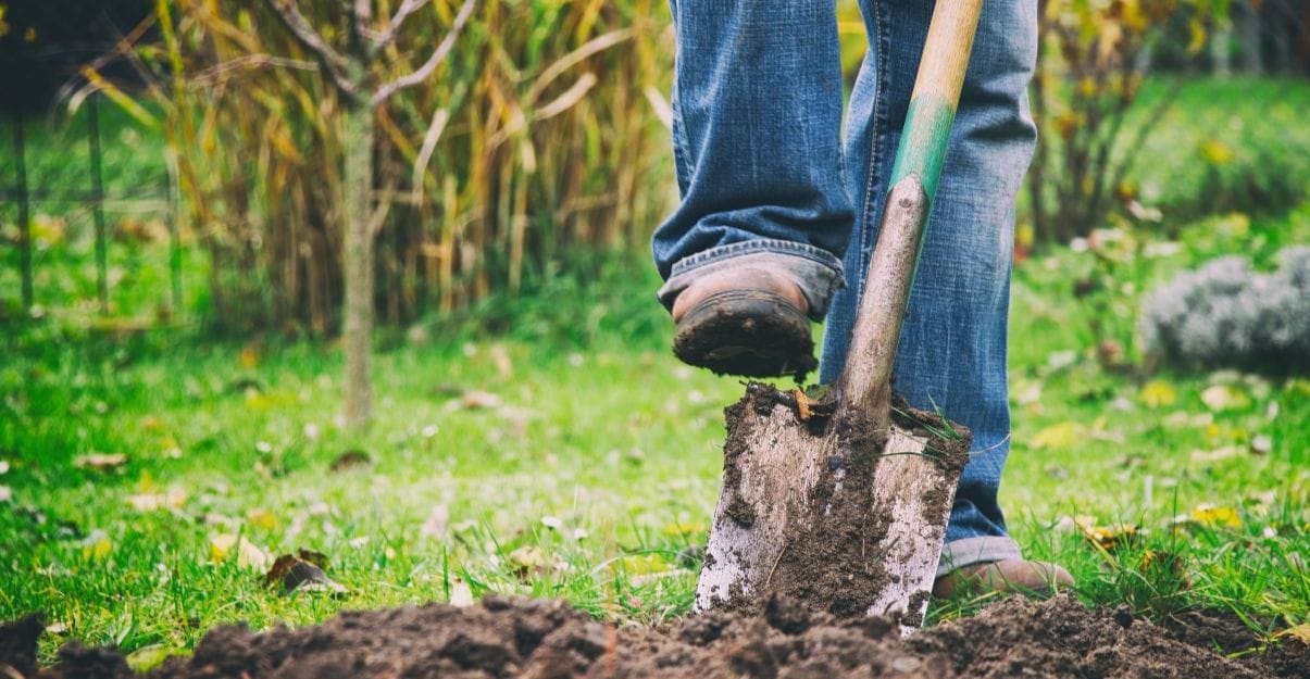 améliorer sol d'un grand jardin