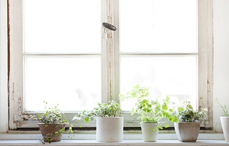 changement de fenêtre pour infiltration d’eau