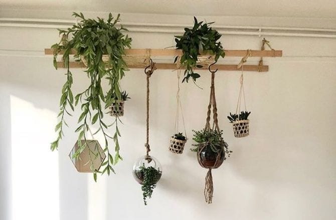 mur végétal échelle