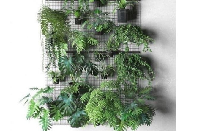 Mur végétal structure métal mur