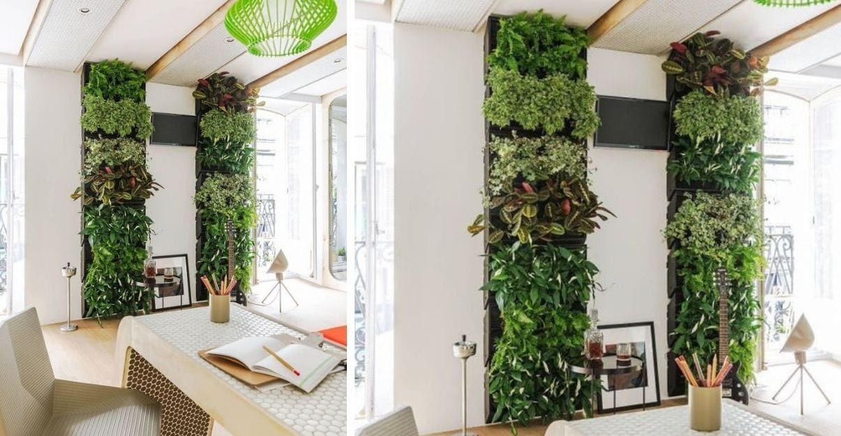Mur végétalisé salon