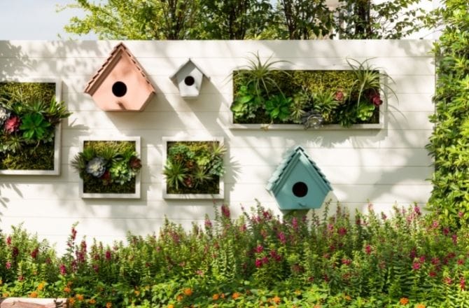 Mur végétal extérieur jardin