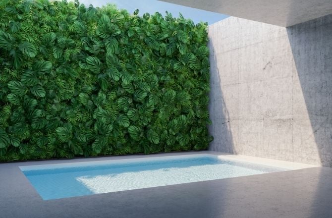 Mur végétal extérieur piscine