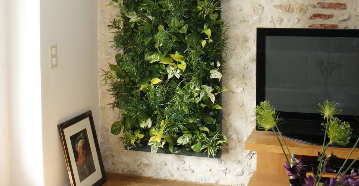 mur végétal petite superficie
