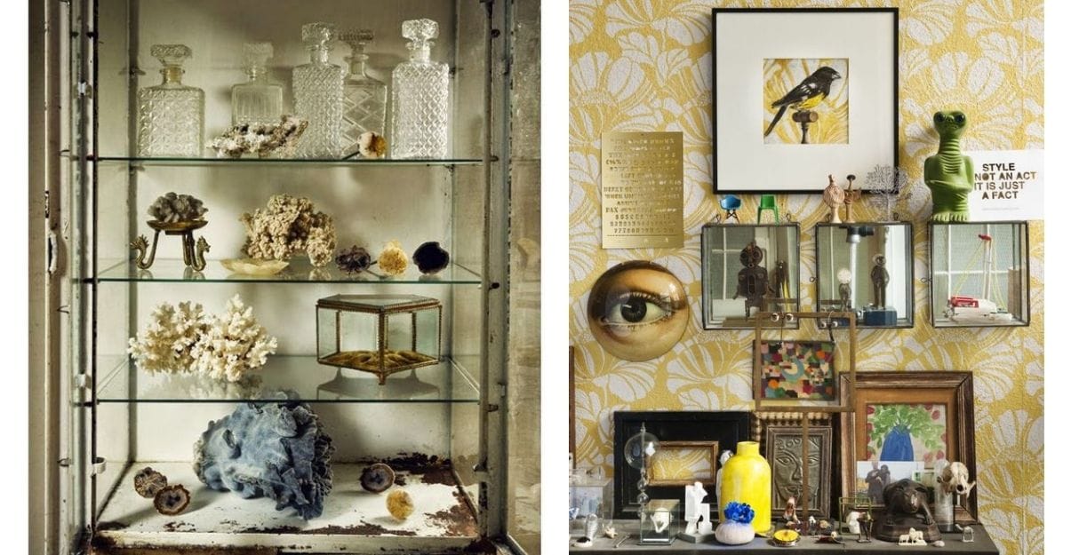 cabinet de curiosité