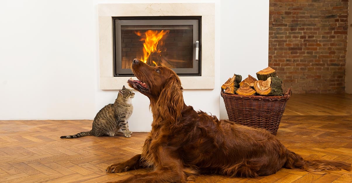 Profitez vite des forfaits MaPrimeRénov’ pour faire installer un insert de cheminée ou un poêle à bois performant