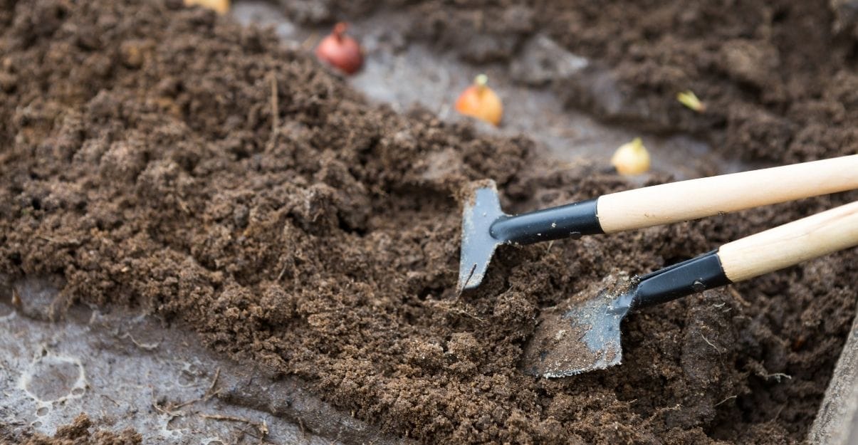 en hiver becher le jardin