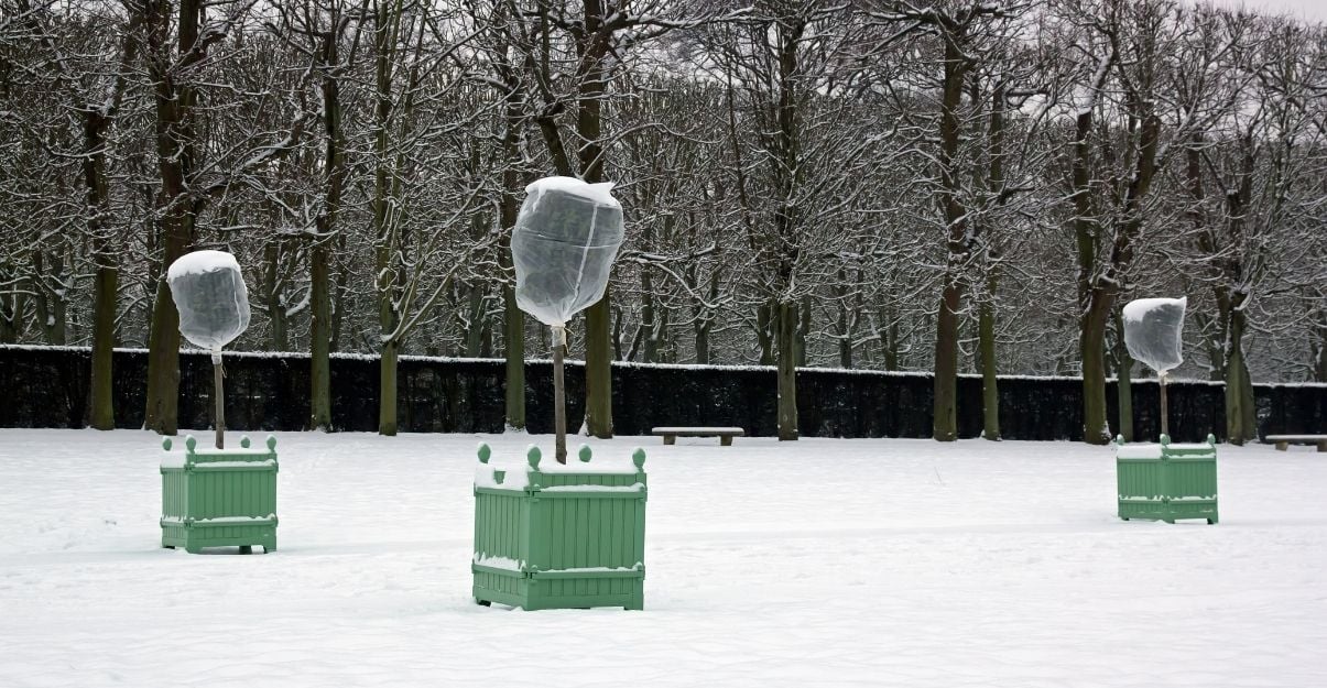 en hiver mettre un voile d'hivernage