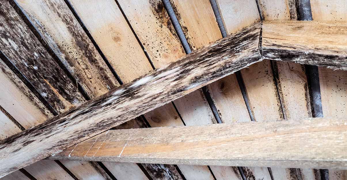 Etanchéité à l’air des combles perdus et humidité