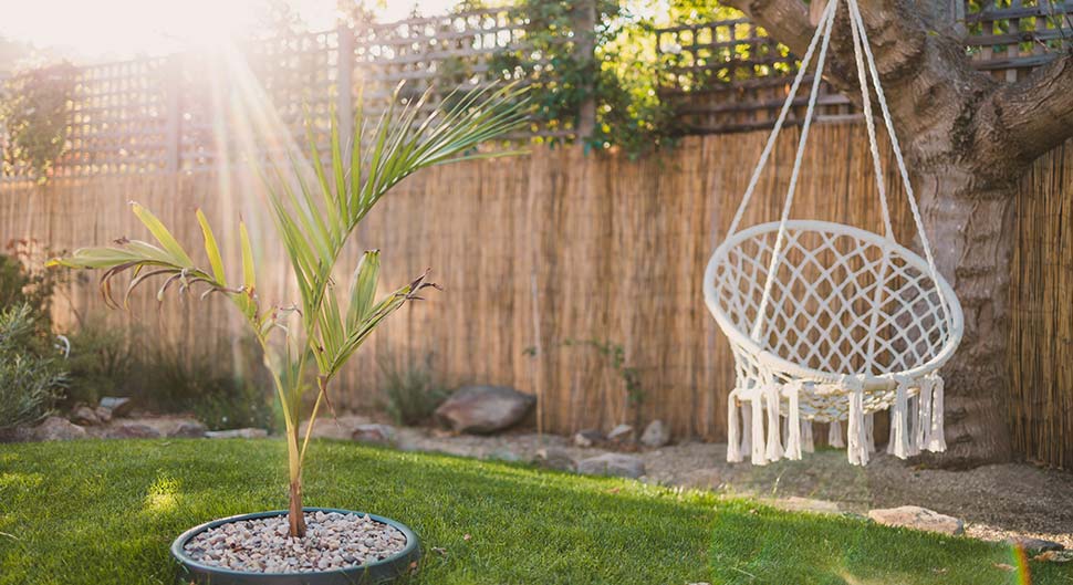 Un jardin facile à vivre