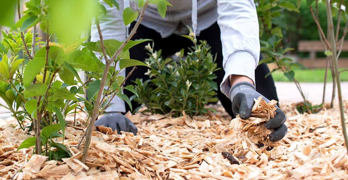 pailler le sol pour faciliter l’entretien des espaces extérieurs