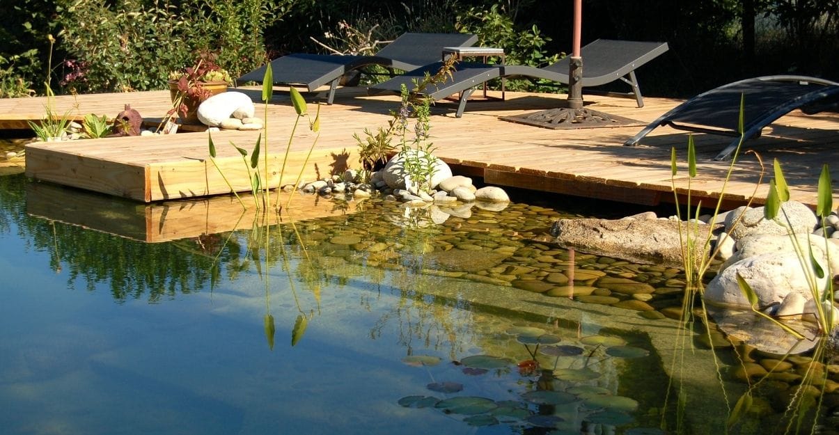 piscine naturelle