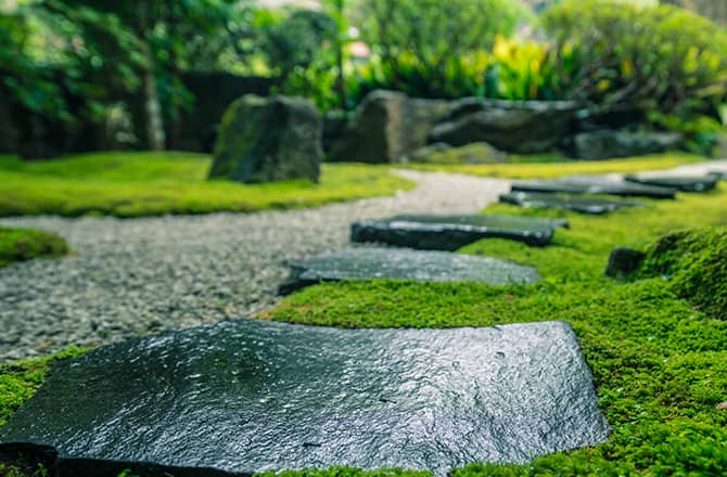Des pierres plates au sol dans un jardin zen
