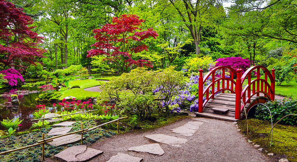 3 conseils pour aménager un jardin japonais chez vous