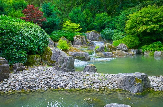 Une chute d’eau bornée de grosses pierres dans un jardin japonais