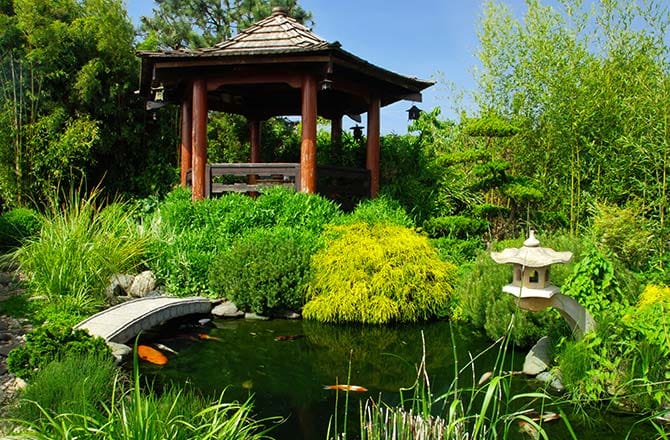 Un jardin japonais très végétalisé avec un étang, un pont et une petite bâtisse typique