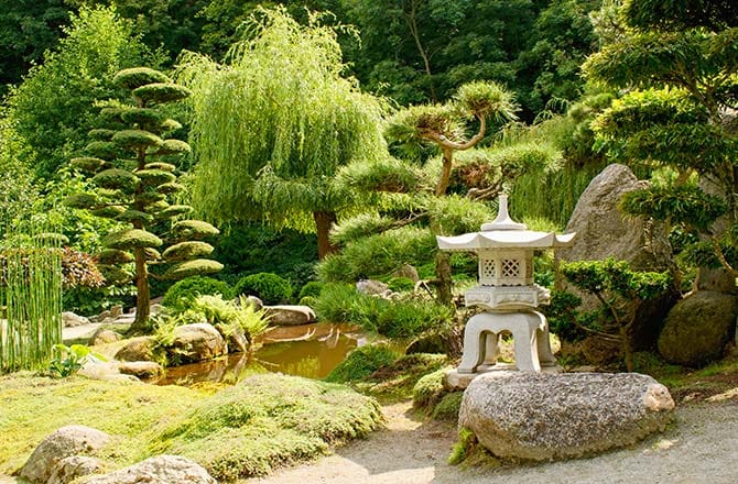 Un jardin japonais et sa végétation