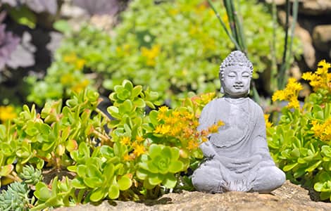 une statue de Bouddha dans un jardin zen