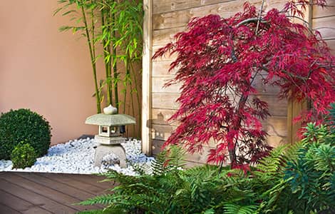une lanterne japonaise dans un jardin zen