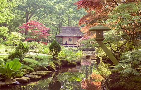 3 conseils pour aménager un jardin japonais chez vous