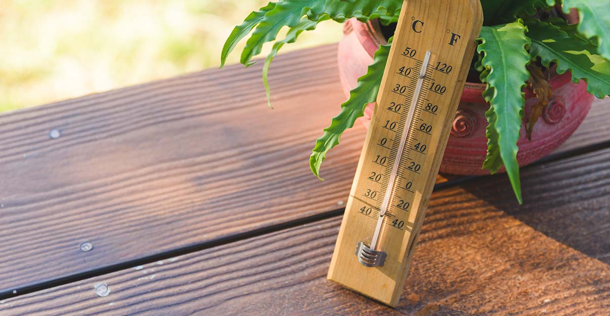 Un thermomètre sur une table en bois posé contre un pot et une plante