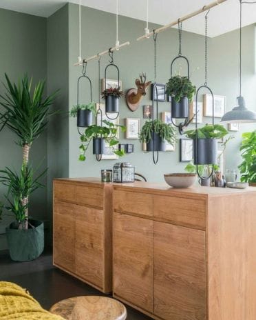 la couleur vert sauge